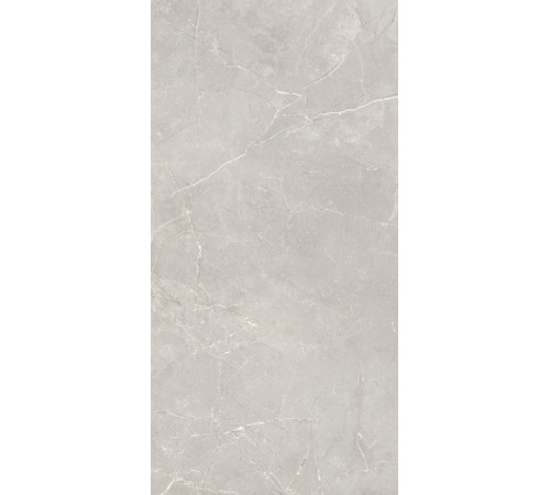 GT1206012601SSR Керамогранит Sogdiana серый сатинированный 60x120