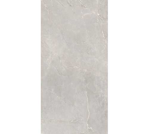 GT1206012601SSR Керамогранит Sogdiana серый сатинированный 60x120